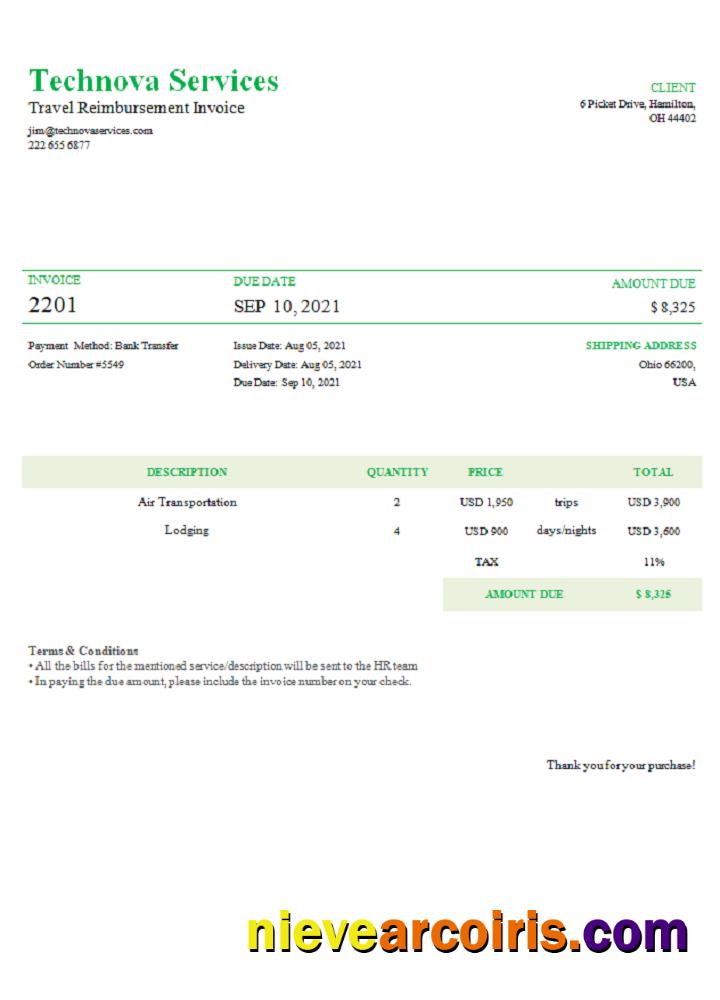 USA Technova Services invoice